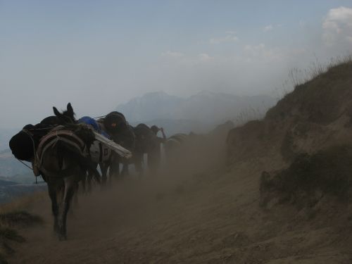 trekking con i muli-194.jpg